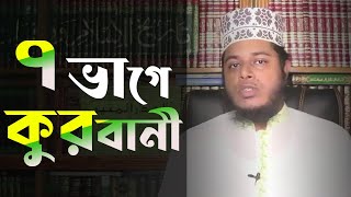 ৭ শরীকে কুরবানী || Qurbani Masayala || কুরবানীর মায়া'য়ালা || Hasnain islamic Tv