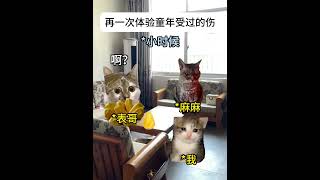 童年受过的伤害终将再次出现#有趣 #故事 #貓 #猫猫meme小剧场 #猫meme #内容过于真实 #猫meme小剧场 #猫meme剧场 #喵不可言 #shorts