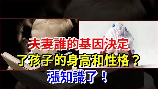 夫妻誰的基因決定了孩子的身高和性格？漲知識了！