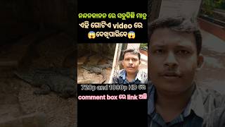 ନନ୍ଦନକାନନ ର ସବୁକିଛି ମାତ୍ର ଏହି ଗୋଟିଏ videoରେ😱#only one video u can see Nandankanan#link in comment🖇️