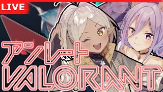 【VALORANT/アンレ参加型】つくしぐれアンレいくどおおおおおお！！【野端つくし/Vtuber】