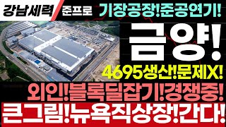 [금양 주가 전망]기장공장연기!심각한문제없다!외인블록딜잡기!경쟁중!결국,뉴욕직상장플랜가동!재상승한다!