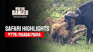 Safari Highlights #776: 23 January 2024 | Maasai Mara/Zebra Plains | Latest #Wildlife Sightings