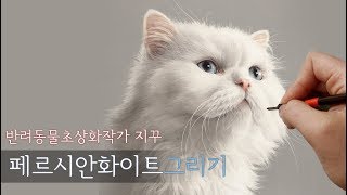 반려동물초상화/고양이그림/귀여운고양이/페르시안화이트