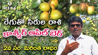 సిరులు పండిస్తున్న కాశ్మీర్ ఆపిల్ బెర్|| Success Story of Kashmir Apple Ber Farming ||Karshaka Mitra