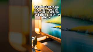 世界の面白い事件 7 #shorts #世界の面白い事案 #ショート動画