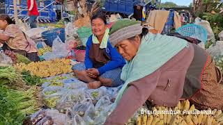 เลาะตลาดเช้าหนองผือ อำเภอเขมราฐ จังหวัดอุบลราชธานี ชาวบ้านปลูกผักริมโขงเอามาขายงามมาก