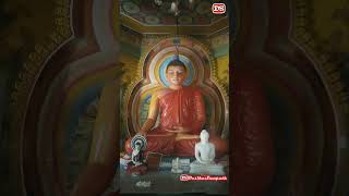 Spiritual teacher Lord Buddha 🙏🙏☸️ #religion #trending 😊😊☸️ #srilanka #lordbuddha #nirvana #relaxing