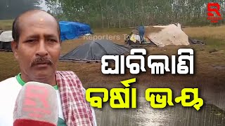 ଖରିଫ ଧାନ ଅମଳର ସମୟରେ ଅଦିନିଆ ବର୍ଷା ଯୋଗୁଁ ଚାଷୀଙ୍କୁ ଘାରିଛି ବର୍ଷା ଭୟ