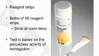 DNA Analyst Training : Bio Screening : Blood