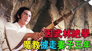 1978年懸疑武俠片，落魄公子遭遇追殺，意外學成絕世劍法，沒想仇人竟是枕邊人