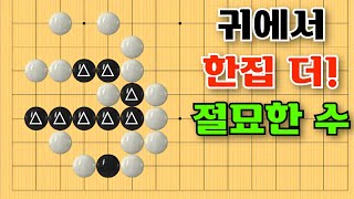 바둑사활 - 귀에서 한집을 더 만드는 절묘한 수는 어디일까요 #바둑 #playgo #사활 #묘수 #맥점