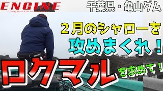 房総コア#11 亀山ダム「ロクマル求めて2月のシャローを攻めまくれ！」