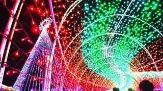 ◆【関東三大イルミ】東京ドイツ村Winter Illumination 2013「Dreamin'」German Village