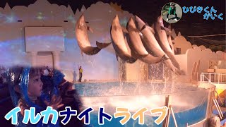 【完全版】イルカパフォーマンスショー　ナイトライブ 　プロジェクションマッピング 【須磨海浜水族園】