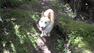 2016/02/10 笊ヶ岳登山