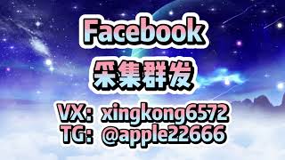 #facebook #facebook群发 Facebook引流系统 Facebook群发成功案例：从零到成功的故事