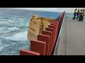 wl ‖ 生活记 228 ‖ welcome to australia great ocean road 欢迎来到澳洲大洋路