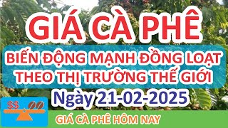 Giá cà phê hôm nay ngày 21/02/2025 | Giá Cà Phê Biến Động Mạnh Đồng Loạt Theo Sàn London