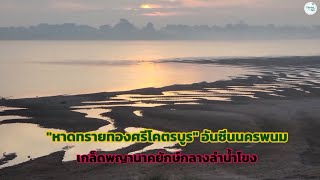 “หาดทรายทองศรีโคตรบูร” อันซีนนครพนม เกล็ดพญานาคยักษ์กลางลำน้ำโขง