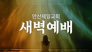 안산제일교회 엎드림 새벽예배 김주억 목사 (2024년 9월 1일)