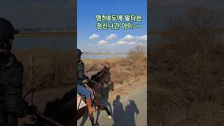 한파에 말 타는 정신나간 아이~~~ #승마 #겨울승마  #한파주위  #horse  #재활승마 #겨울스포츠