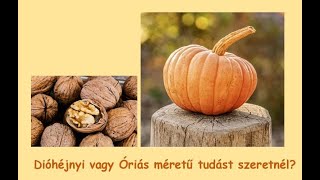 Dióhéjnyi vagy Óriás méretű tudást szeretnél?