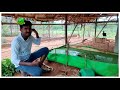 tkp farms updated full vlog என்னுடைய கோழி பண்ணை அன்று முதல் இன்று வரை