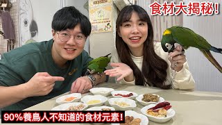 大揭秘！飼料裡的「食材」究竟是何方神聖？養鳥人最好奇的食物「冷知識」！【鸚鵡小木屋】