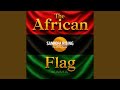 The African flag