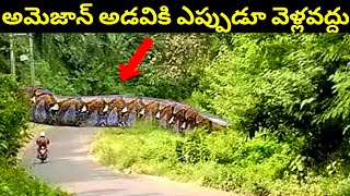 ప్రంపంచంలో అతి రహస్యమైన అడివి Amazon Forest గురుంచి కొన్ని విషయాలు || Amazon Forest In Telugu ||