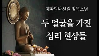 두 얼굴을 가진 심리 현상들ㅣ일묵스님ㅣ제따와나선원 정기법회 2022.07.06