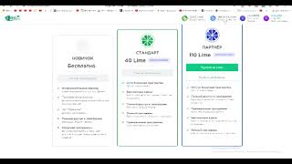 Презентация для новичков Magic Lime Academy