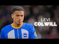 Levi Colwill - Season Highlights | 2023