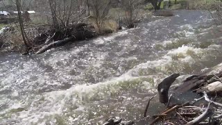 Montana first responders urge caution around water this spring