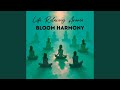 Bloom Harmony