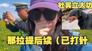 可怜！新疆被疯狗咬后续，宠物医院没有只能转到...附近的兽医站 (治马治牛的），现在已无大碍！老黑立大功，咱们来论功行赏做吃播的一期。