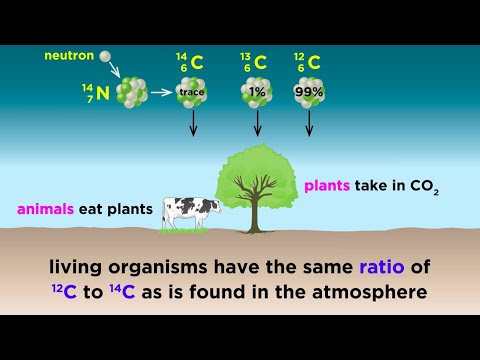 How did nuclear testing affect carbon dating?