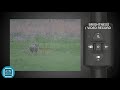 ATN X-Sight LTV main features