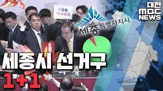 세종 선거구 분구 대전·세종·충남 20석/대전MBC