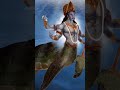 lord vishnu kurma avatar