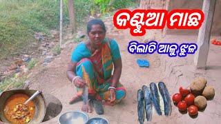 କଣ୍ଟୁଆ ମାଛ ବିଲାତି ଆଳୁ ଝୁଳ # long whiskers catfish curry Village style recipe