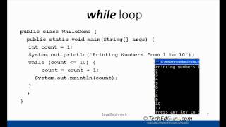 Java Beginner 6 - Loops (for, while)