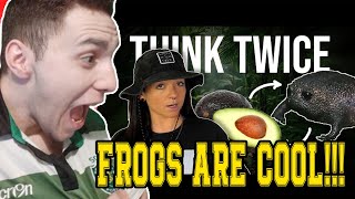 FROGS I THINK YOU MIGHT LIKE! | LINDSAY NIKOLE | FROGS ARE INCREDIBLE! | **REACTION**