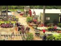 The Good Earth Garden Center Spring Timelapse!