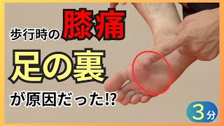 膝の痛みの隠れた原因は『足の裏』3分で膝痛が楽になってスタスタ歩けるマッサージ