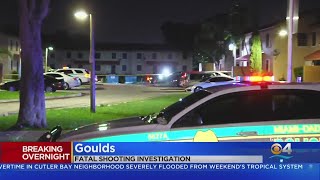 Fatal shooting in Goulds