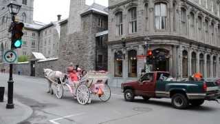 OLD MONTREAL STREET SCENE - CALECHE / HANDSOME CAB