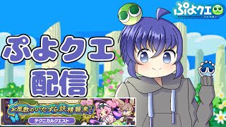 毎日ぷよぷよクエスト配信187日目 塔を登る等 #縦型配信