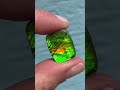 🔥 New Ammolite Limited Edition Stones